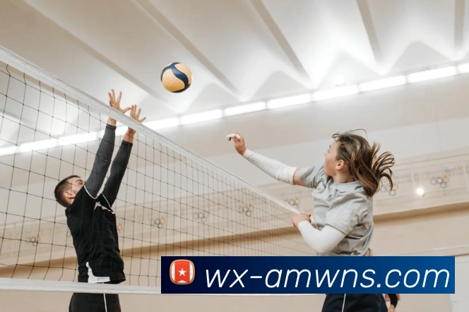 多媒体互动体验